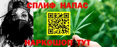 стаф Будённовск