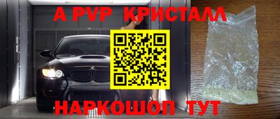 стаф Будённовск
